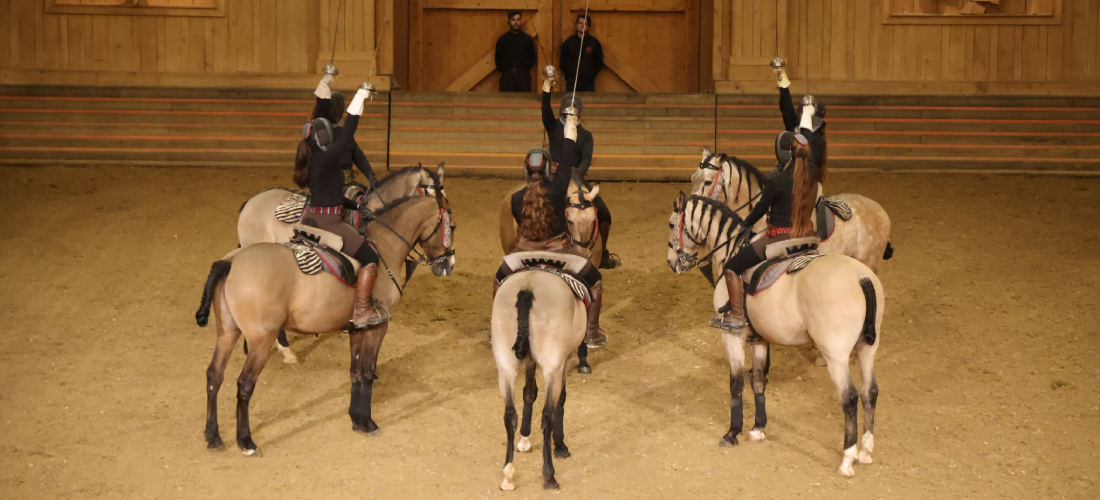 National Equestrian Academy of Versailles